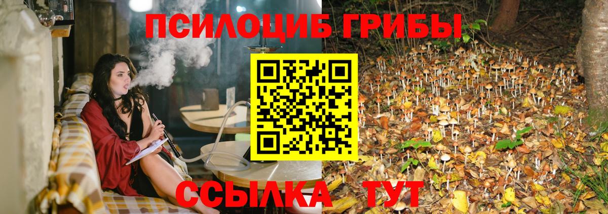 Псилоцибиновые грибы Magic Shrooms Верхняя Салда